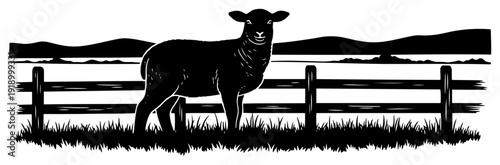Silhouette of a sheep standing in a rural pasture with a long wooden fence and hills