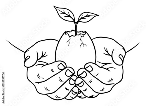 Human hands holding a cracked eggshell with a small plant sprout growing inside