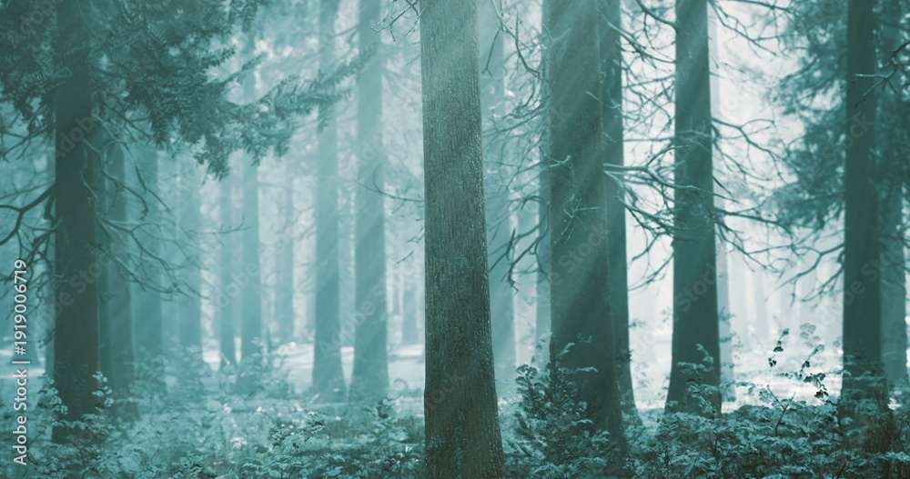 Naklejka premium teal mist forest with tall pines, soft diffused light through trunks, mossy undergrowth and ferns, cool palette evokes calm and mindfulness, perfect