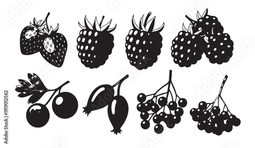 Assorted Berries and Fruits Silhouette Collection