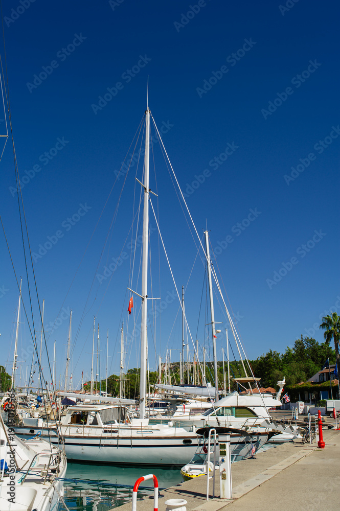 Fototapeta premium A vertical shot of a vibrant marina filled with various white sailing yachts and motorboats docked along a pier. The tall masts of the sailboats reach toward a deep, cloudless blue sky. The crystal-cl