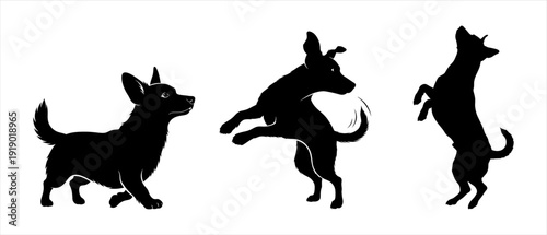 Three Silhouettes of a Dog in Dynamic Poses on a White Background