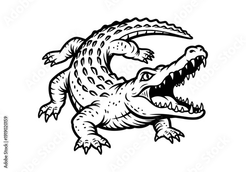 Monochrome Alligator Illustration with Open Mouth and Sharp Teeth.