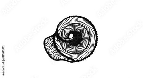 Abstract Artistic Shell: A mesmerizing display of abstract art showcasing the intricate details of a nautilus shell in stunning monochrome, creating a sense of depth and artistic intrigue.