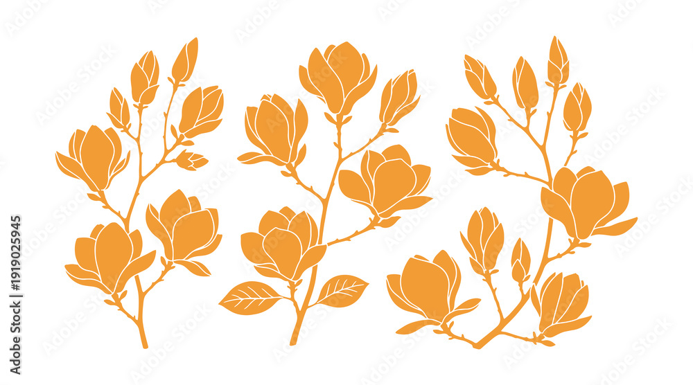 Obraz premium Magnolia blooms. A collection of magnolia branches. Vector art