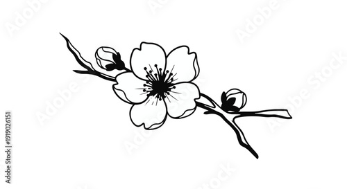A minimalist black and white vector illustration of an orchid blossom featuring an elegant floral pattern with a delicate leaf and petal design for spring nature art