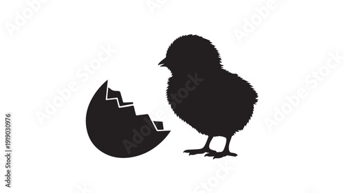 Baby Chick Hatching Silhouette in Simple Black Silhouette on White Background for Easter