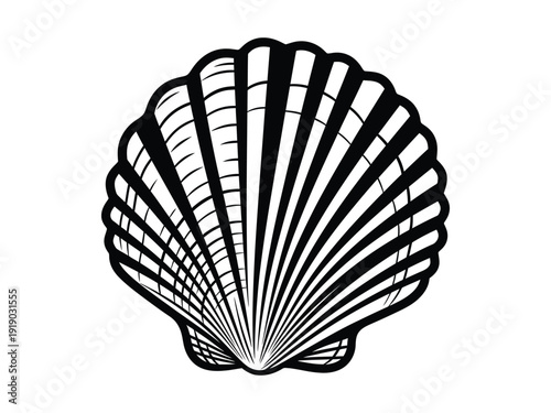 Striking vector illustration of a scallop seashell, with radiating lines and a textured, graphic style on a white background.