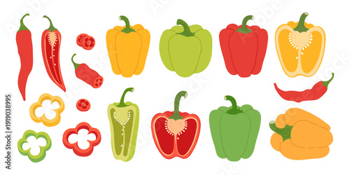 Colorful sweet and hot pepper set whole, halved and slice. Collection of chili and red, yellow, green bell peppers. Vector fresh organic vegetables isolated on a white background