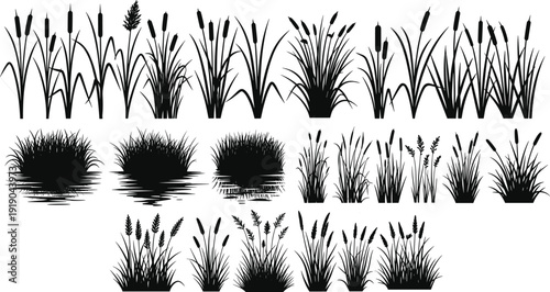 Vector illustration of marsh and aquatic plant silhouettes symbolizing wetlands, nature, ecology, culture, education, conservation, and environmental values