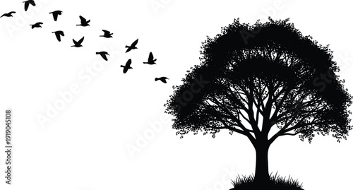Vector illustration of tree with flying birds symbolizing nature, freedom, change, culture, education, conservation, and environmental values