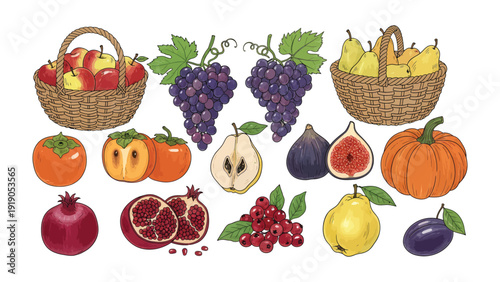 Harvest Bounty: A colorful assortment of fresh, ripe fruits in baskets and individual presentations. capturing the essence of the harvest season with apples, grapes, pears, figs, persimmon.