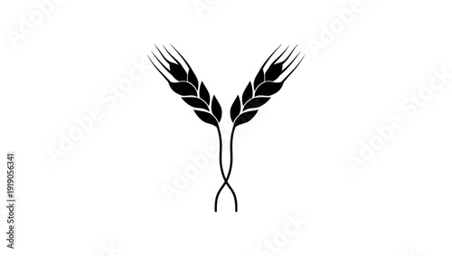 Wheat ears, black isolated silhouette