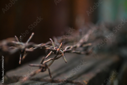Rusty barbed wire close-up
