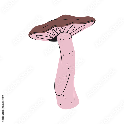 Parasol mushroom or basidiomycete fungus. Vector forest flora. Mycology poster element or botany cartoon sign. Woodland fungi or macrolepiota procera species. Biology and science, forage symbol.