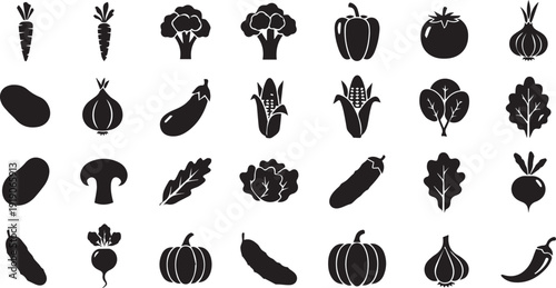 Professional Vector Illustration 16