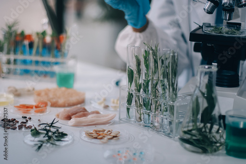 Chemical Laboratory of the Food supply . Food in laboratory, dna modify .GMO Genetically modified food in lab .