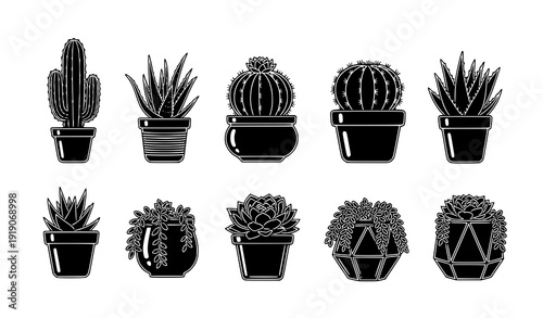 Monochrome Assorted Cacti and Succulent Icons – Vector Potted Plant Collection