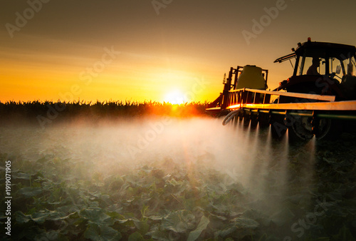 Canvastavla A tractor spraying soil and vegetable in a field.