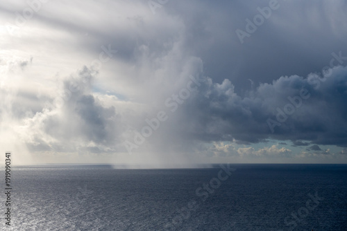 komurka deszczowa nad oceanem
