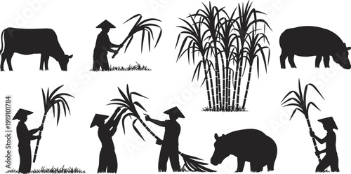 Silhouettes of farmers harvesting bamboo with cows and buffaloes in a rural setting