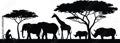 African safari wildlife silhouettes with elephants giraffe rhinoceros and monkey under acacia trees, savanna landscape isolated on white