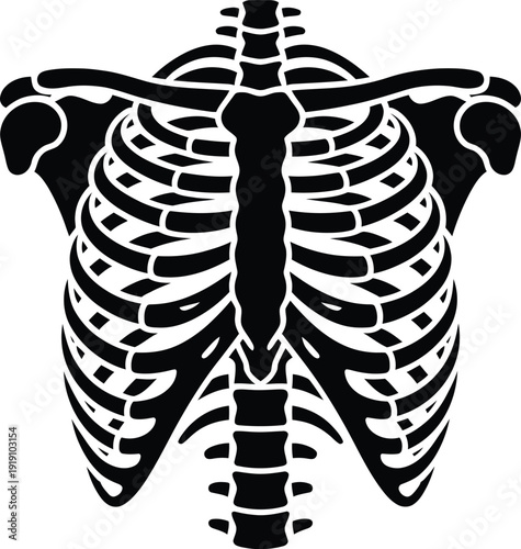 Human rib cage silhouette vector illustration