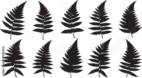fern leaf silhouette botanical plant icon set