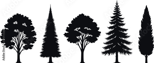 Tree silhouette collection, deciduous and conifer evergreen forest trees isolated on white background vector illustration set