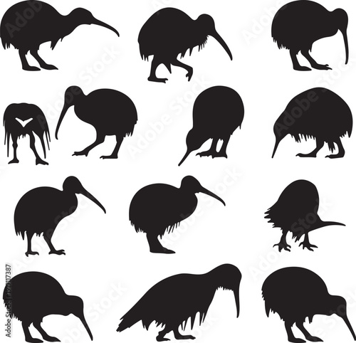 kiwi silhouettes set