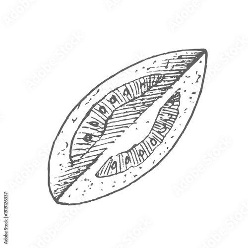 Tomato slice. Vector ink styled handmade illustration. For packaging design, cards, cover, prints, product labels and fabric.