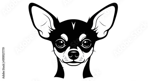 Black and white chihuahua portrait vector illustration for design projects