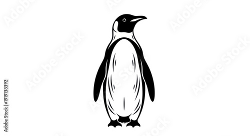Black and white penguin illustration on white background vector design