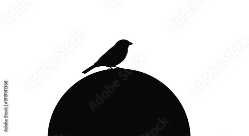 Silhouette of a Bird: A solitary bird silhouette perched atop a solid shape, a stark contrast of light and shadow, evoking a sense of calm and minimalism.