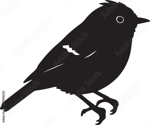 Goldcrest on in silhouette on white background.