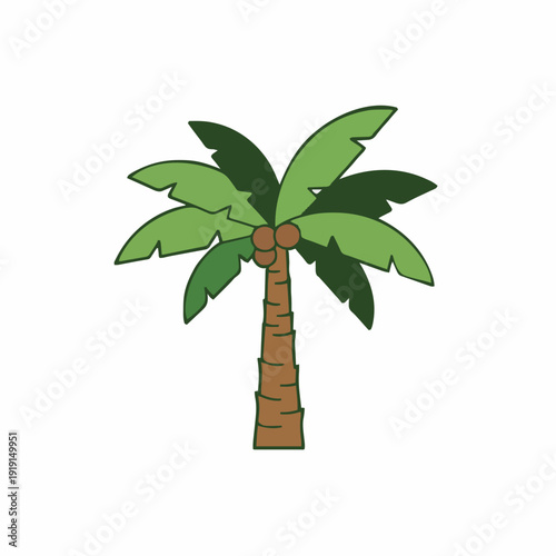 Stylized Coconut Palm Tree With Green Fronds Brown Trunk And Two Coconuts Isolated On A White Background