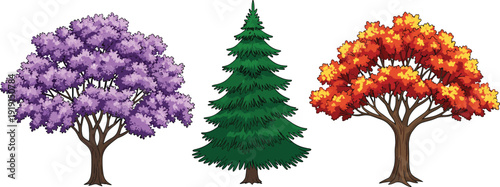A high quality flat vector illustration set featuring three diverse seasonal trees including a purple cherry blossom an evergreen fir and a red autumn maple.