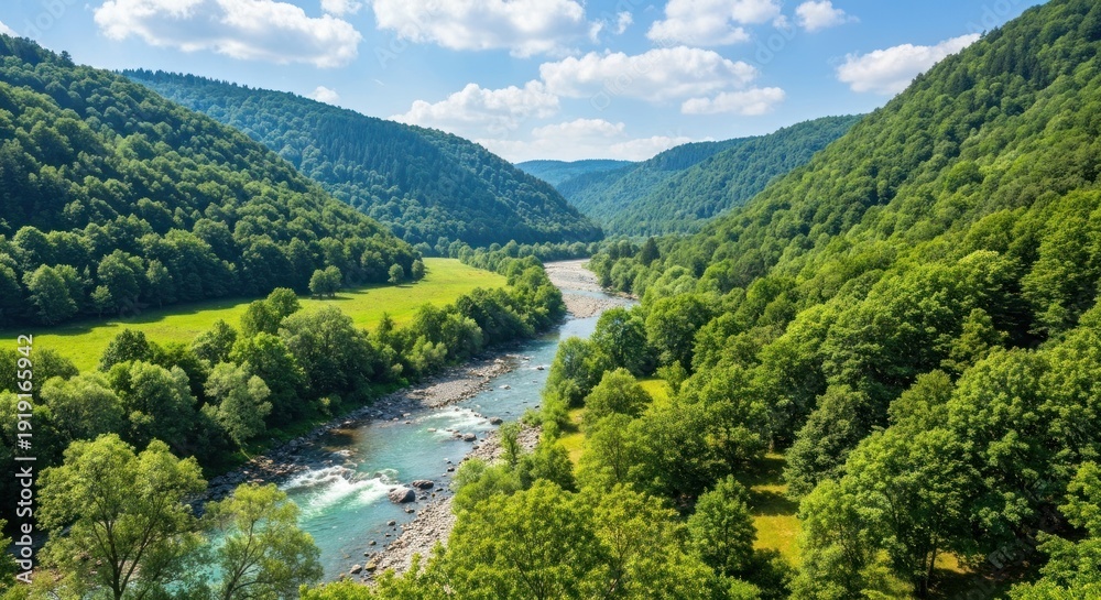 Fototapeta premium A river winds through a lush, green valley under a bright, sunny sky