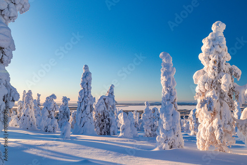 Quadro su tela winter landscape with trees and snow