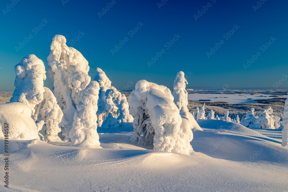 Фотография winter landscape with snow