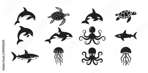 ocean wildlife illustration with dolphin orca turtle shark octopus jellyfish silhouettes
