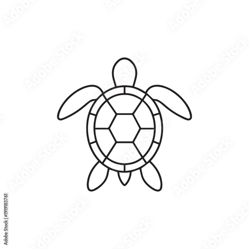 Turtle Line Drawing Vector Illustration with Geometric Shell Pattern