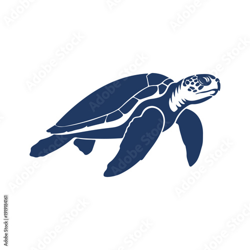  Sea Turtle Vector Illustration in Swimming Pose with Navy Blue Accents