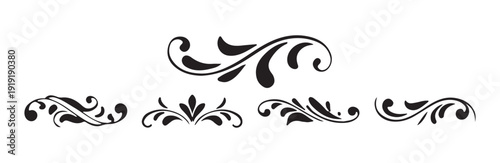 Decorative swirl flourish calligraphic borders vintage dividers text separators collection