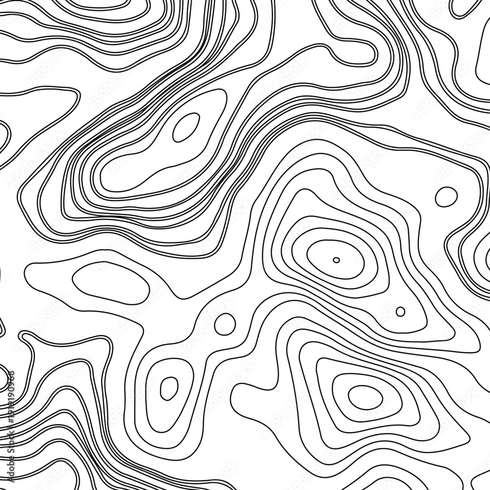 Fototapeta premium Abstract Gray Topographic Line Pattern Background Minimal Monochrome Contour Map Texture, Modern Geographic Elevation Lines, Seamless Terrain Illustration for Wallpaper, Print, Branding and Digital.