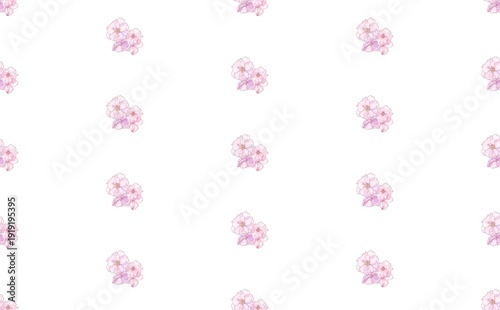 桜の花　⑥