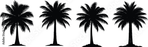 Palm tree silhouette illustration set, tropical botanical diversity, textured trunks, frond arrangements, landscape design theme - flat vector illustration