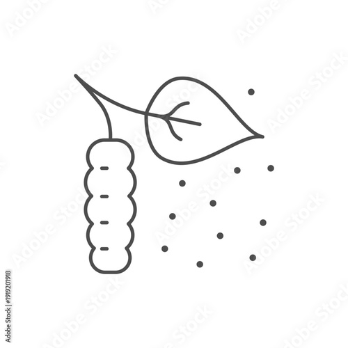 Birch catkin line outline icon