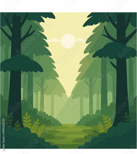 Forest silhouette trees. Evergreen coniferous forest with pines, fir trees,  christmas tree, cedar, Scotch fir. Vector illustration. (Every tree isolated, separate from each other, free-standing)