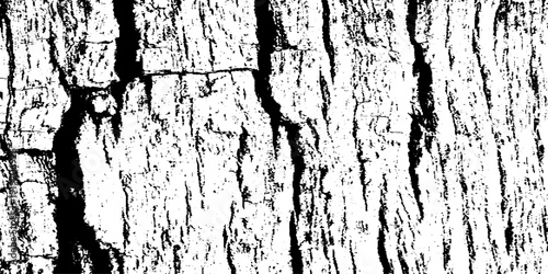 Black and White Wood Grain Texture Background Distressed Tree Bark Pattern, Rough Timber Surface, Rustic Wooden Plank Detail, High Contrast Monochrome Natural Texture for Wallpaper, Print and Graphics